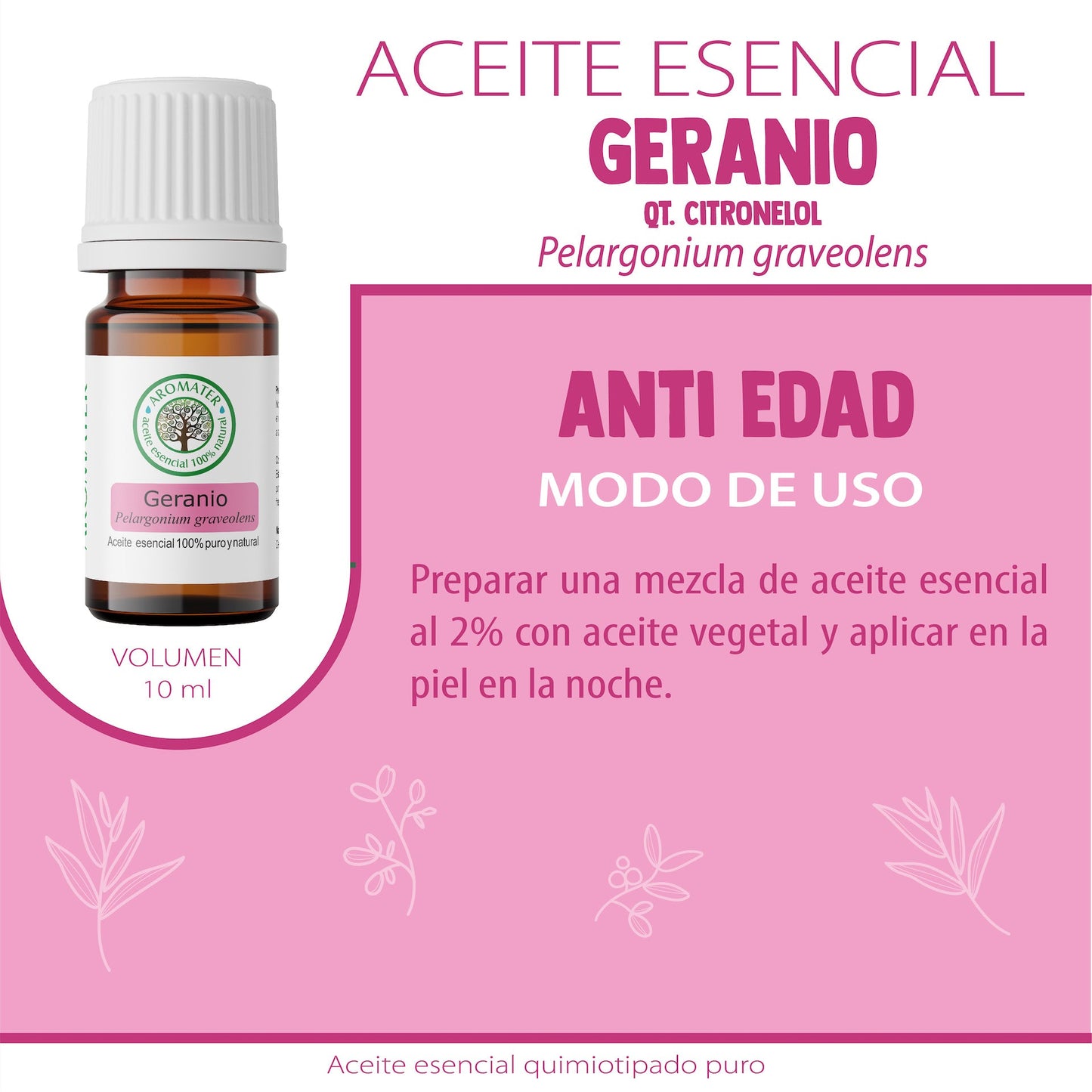 GERANIUM ESSENTIAL OIL FROM EGYPT: The woman's oil
